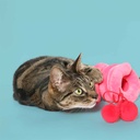 Kattenspeeltje TWISTER