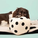 Hondenspeeltje ROLL THE DICE