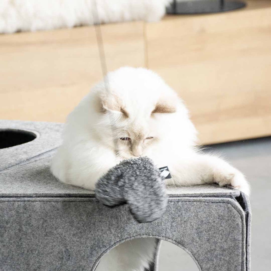 STELLA - teddy hartje