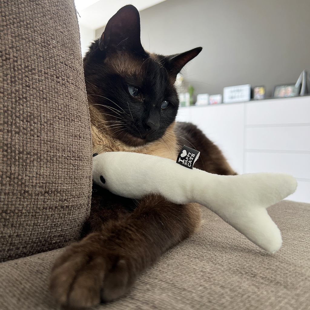 FINN - Trapkussen in visvorm