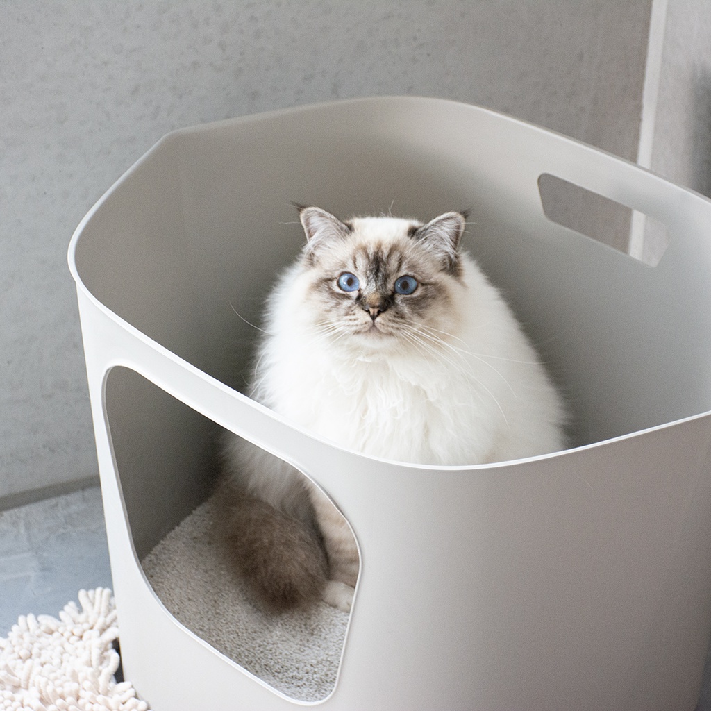 Starterspakket - DEAN open kattenbak 