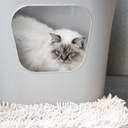 Starterspakket - DEAN open kattenbak 