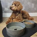 Jasper eet- en drinkkom