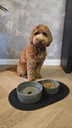 Jasper eet- en drinkkom