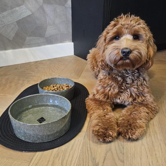 Jasper eet- en drinkkom