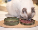 JASPER KAT EETSCHAAL GREEN
