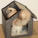 Kattenhuisje Gilly