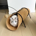 Reina katten speeltunnel