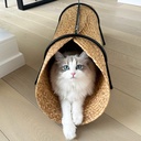 Reina katten speeltunnel