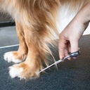 Japandi grooming scissors