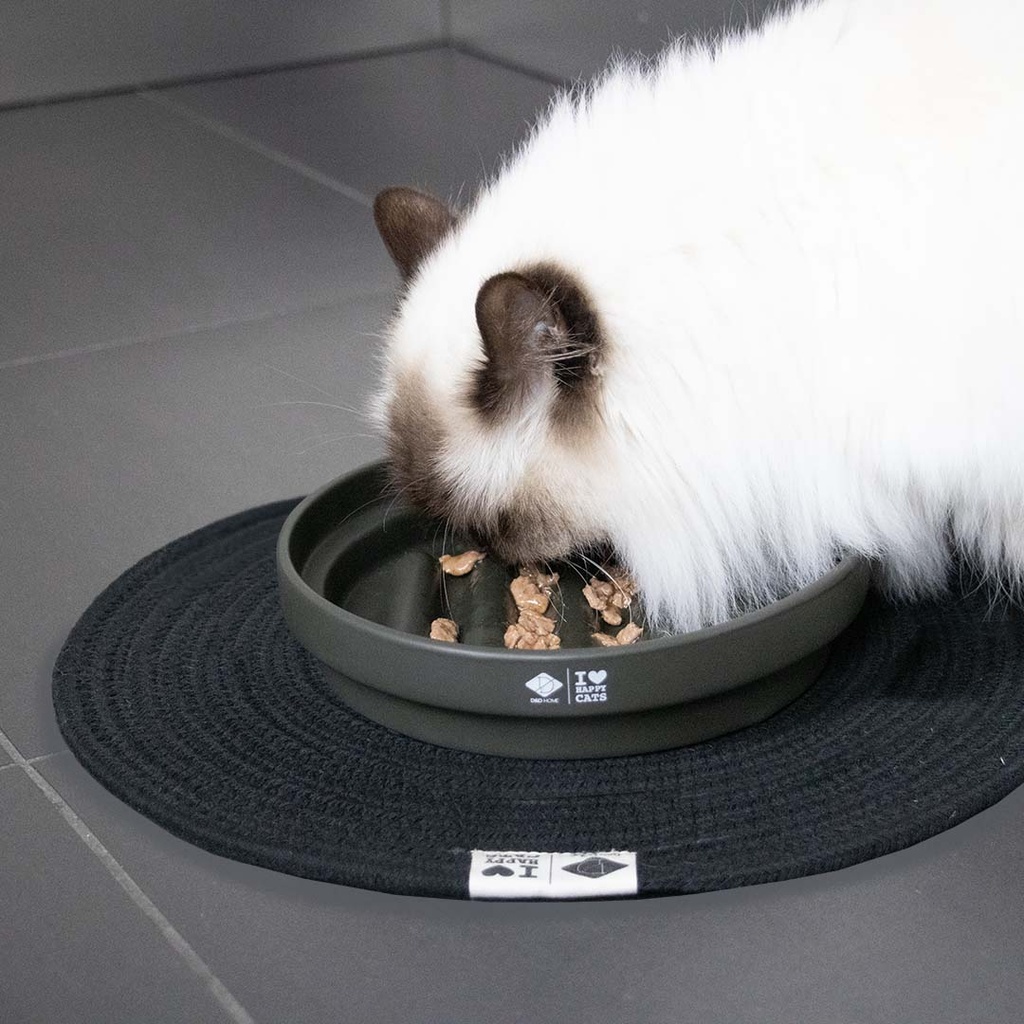 SUE Slow feeder 'doolhof'