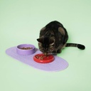 Placemat CRUMB CATCHER