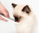 CA Creamy Spoon