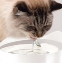 CA Pixi drinkfontein 2L Stainless Steel Top