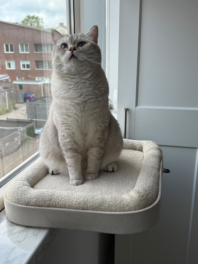 Kyo vensterbankmand
