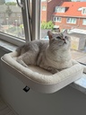Kyo vensterbankmand