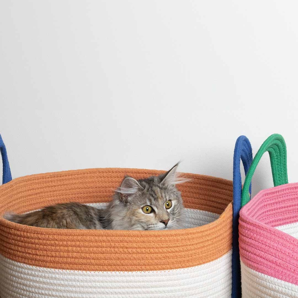 Kattenmand BINGE