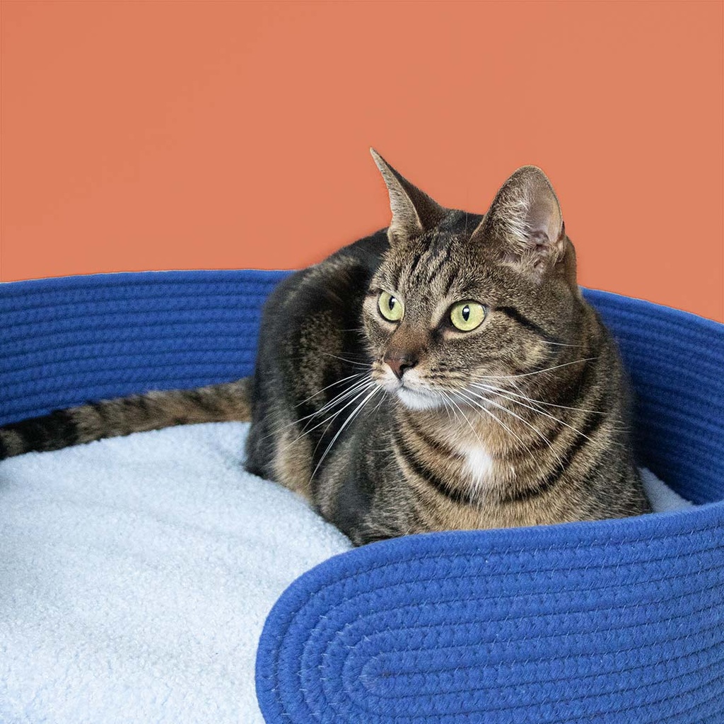 Kattenmandje LAZY LOUNGE