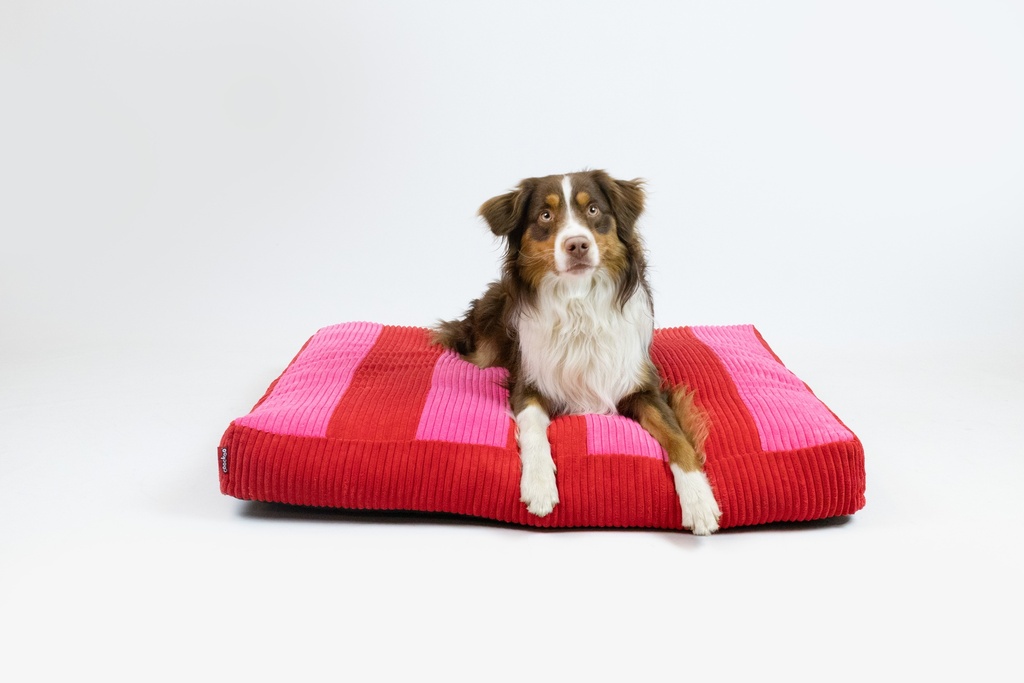 Hondenkussen COZY STRIPE