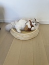 Maisblad poef Siesta crème