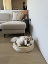 Maisblad poef Siesta crème