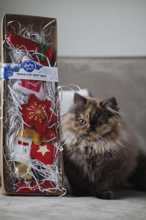Xmas Geschenkdoos voor kat