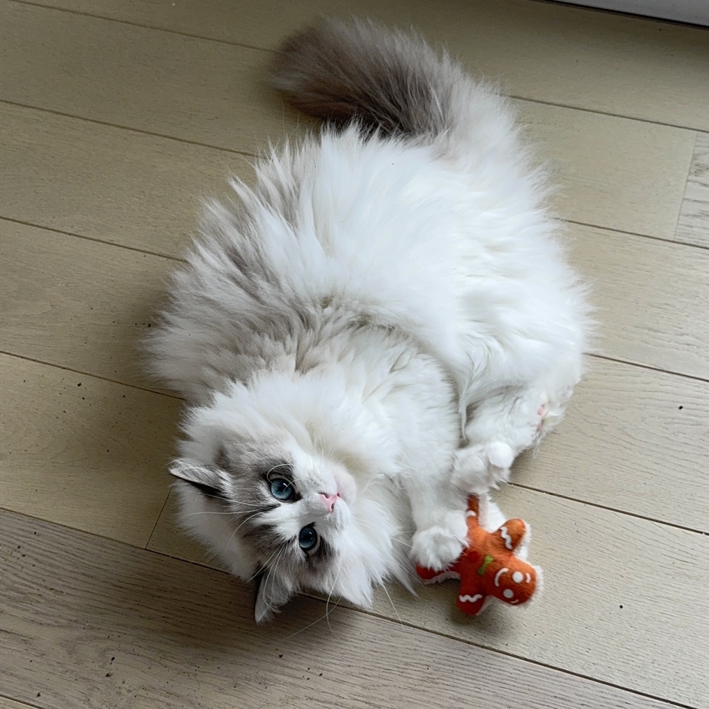 Xmas Fluffy peperkoekenman