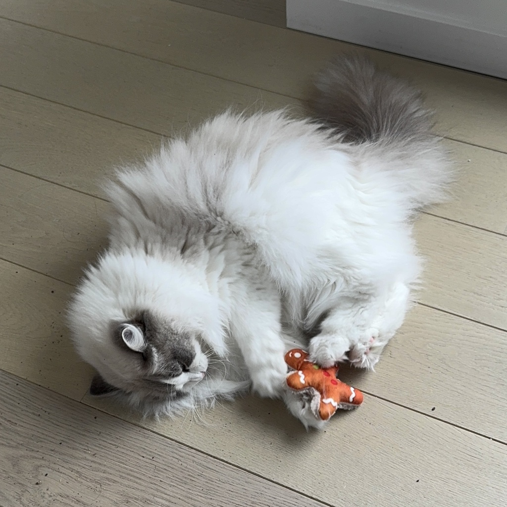 Xmas Fluffy peperkoekenman