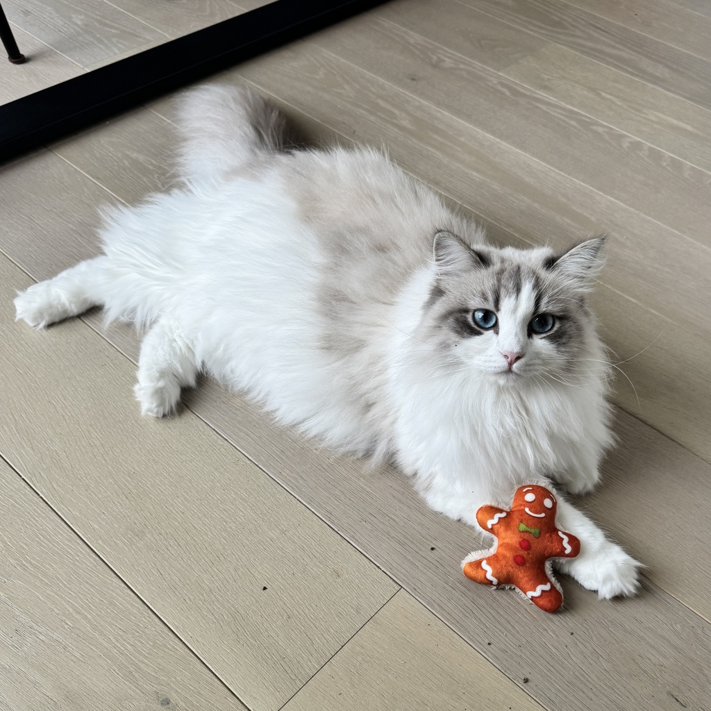 Xmas Fluffy peperkoekenman