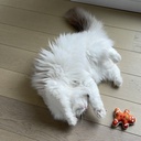 Xmas Fluffy peperkoekenman