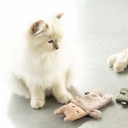 Kattenspeeltje ALFIE XL