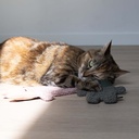 Kattenspeeltje ALFIE XL