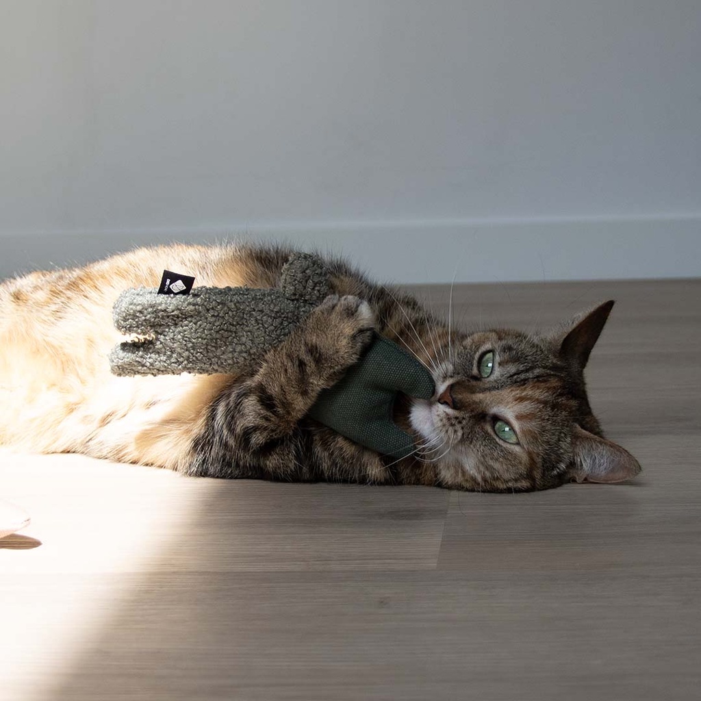 Kattenspeeltje ALFIE XL