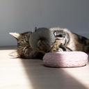 Kattenspeeltje MAPLE