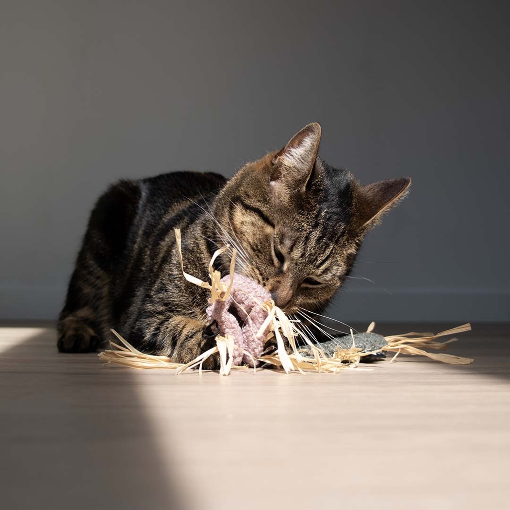 Kattenspeeltje MILLY