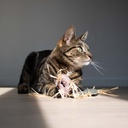 Kattenspeeltje MILLY