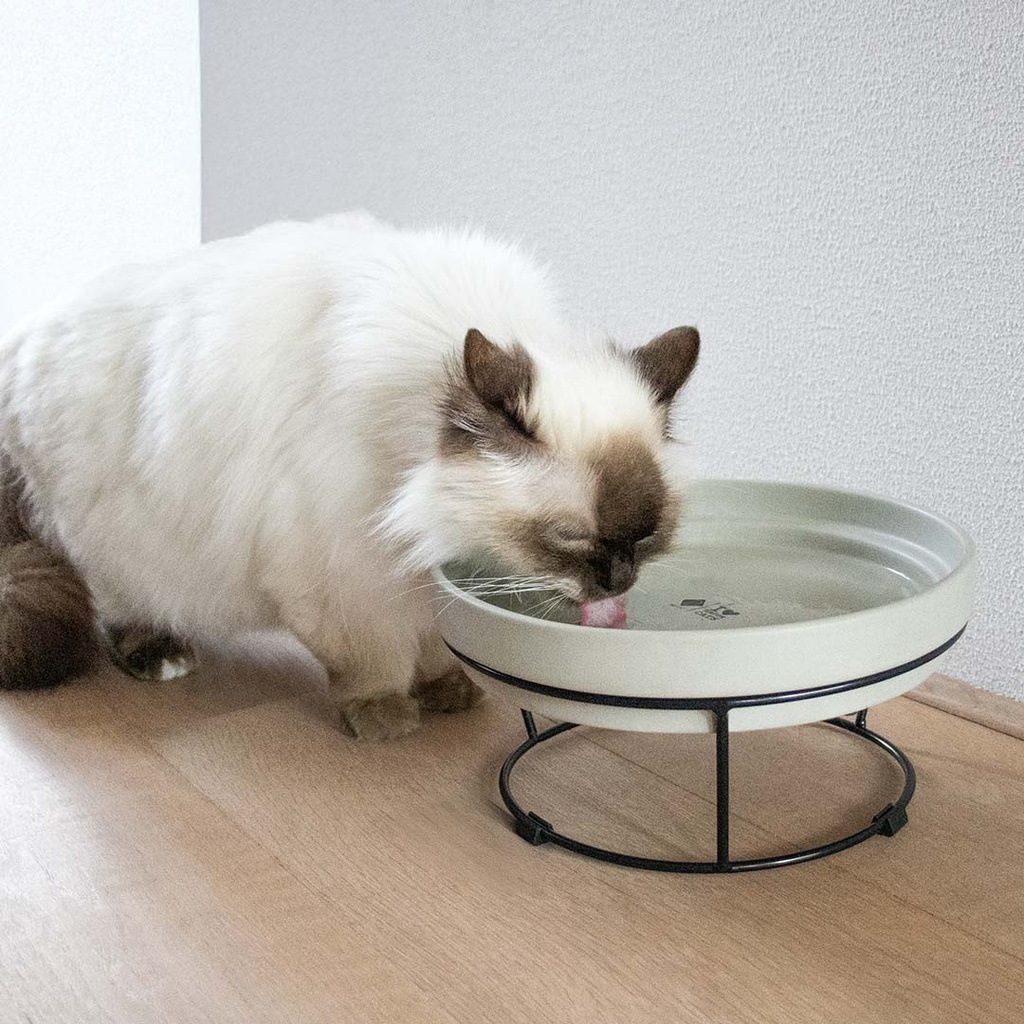 Standaard DASH 2-in-1 voor SUE & ACE