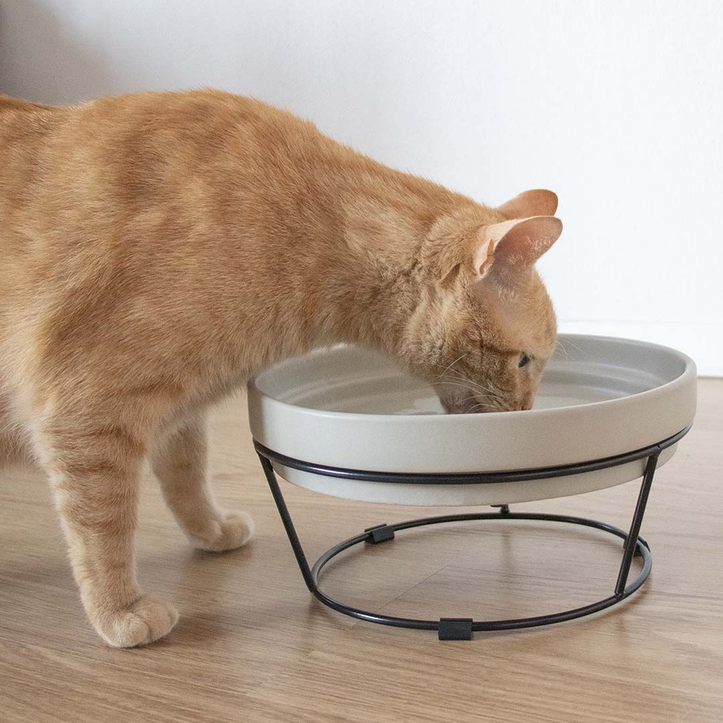 Standaard DASH 2-in-1 voor SUE & ACE