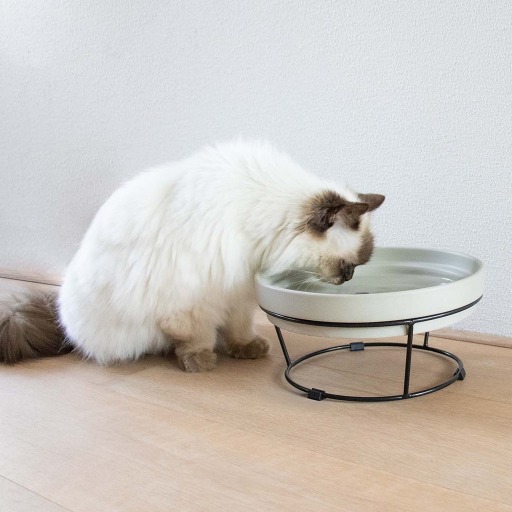 Standaard DASH 2-in-1 voor SUE & ACE