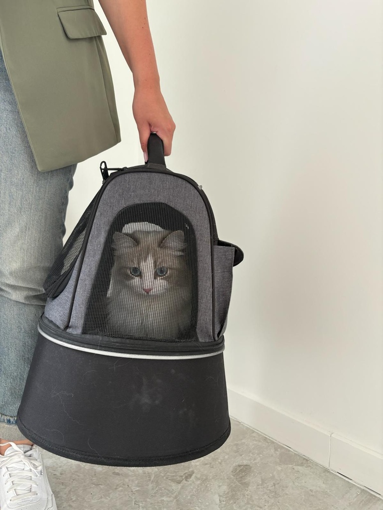 PHOEBE - Kattentransporttas