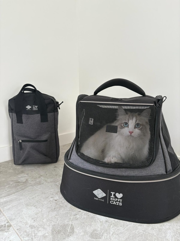 PHOEBE - Kattentransporttas