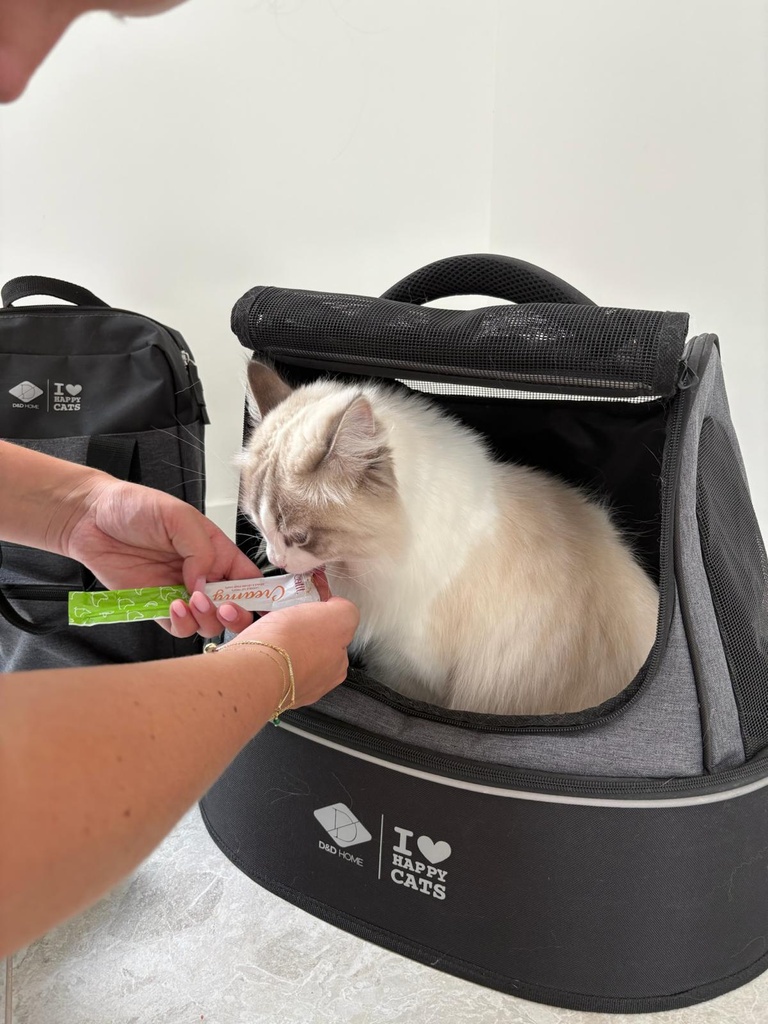 PHOEBE - Kattentransporttas