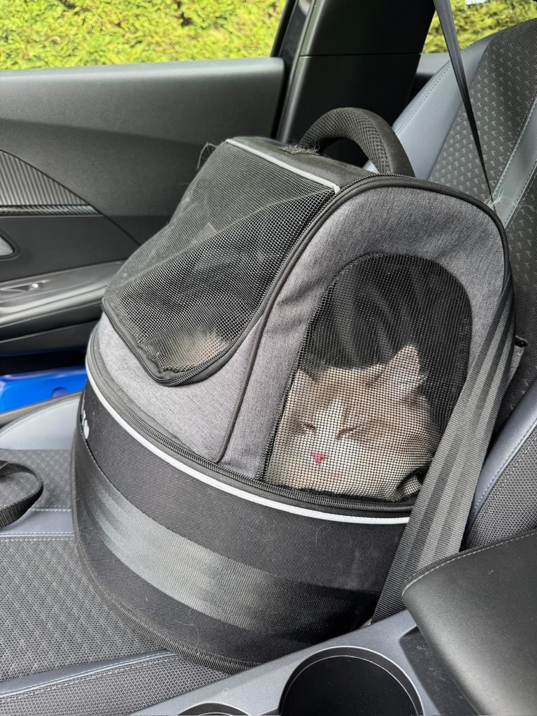 PHOEBE - Kattentransporttas