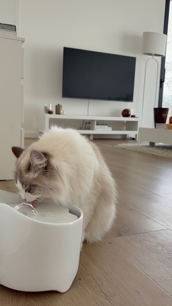 Keramische drinkfontein