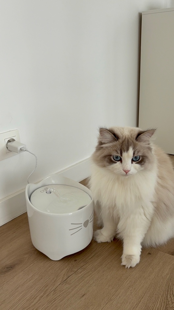 Keramische drinkfontein