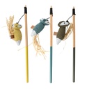 Rocco joue avec les Foxes