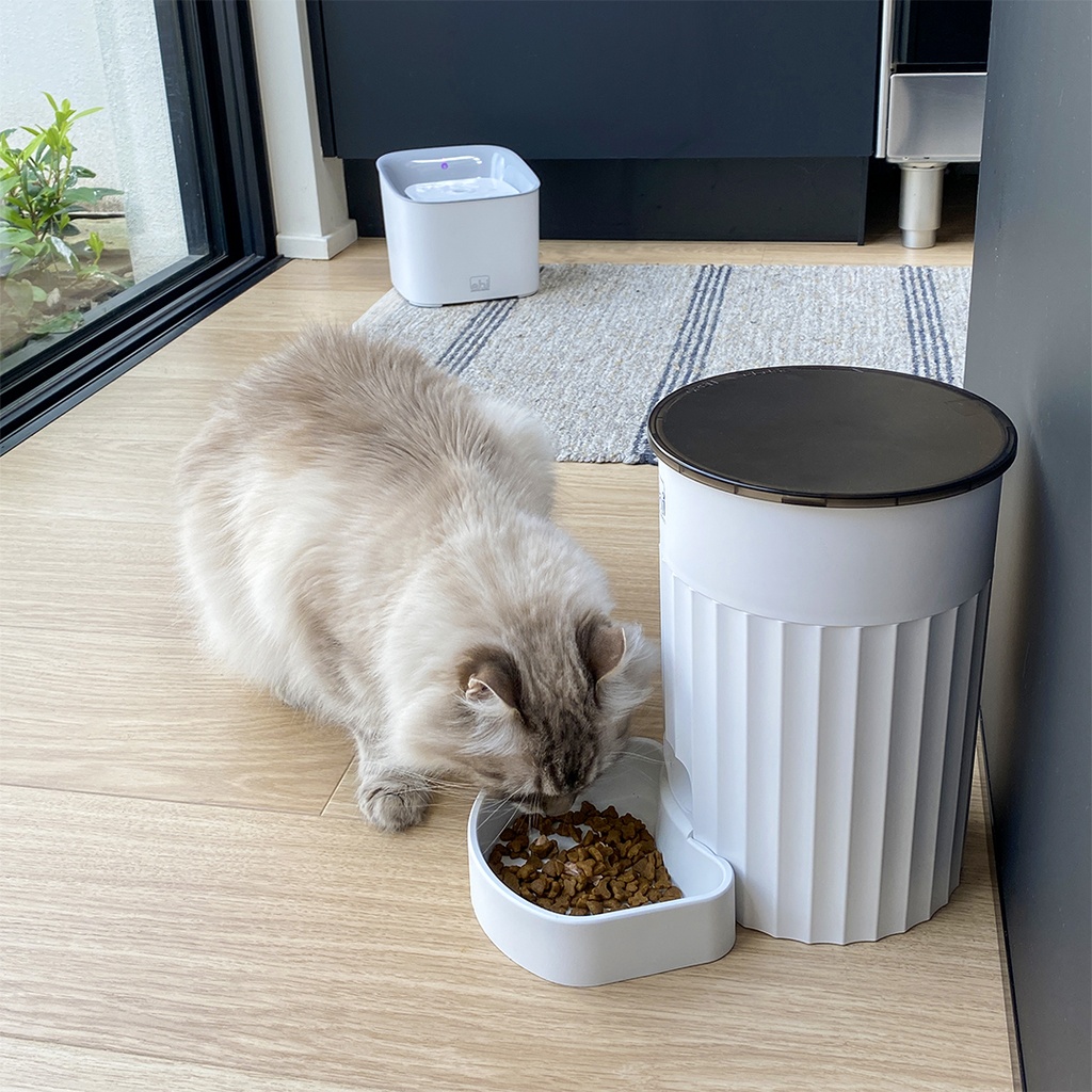 Juego de comedor automático