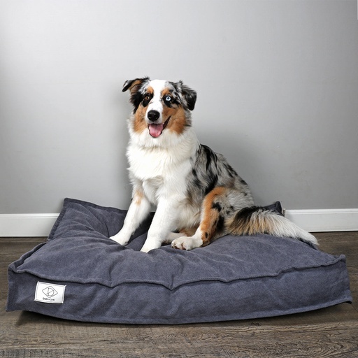 Steve coussin pour chiens [bleu (Bleu)]