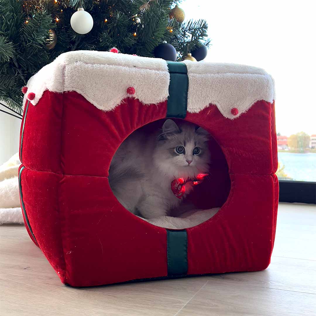 [15550] Xmas maison cozy [rouge (Rouge)]