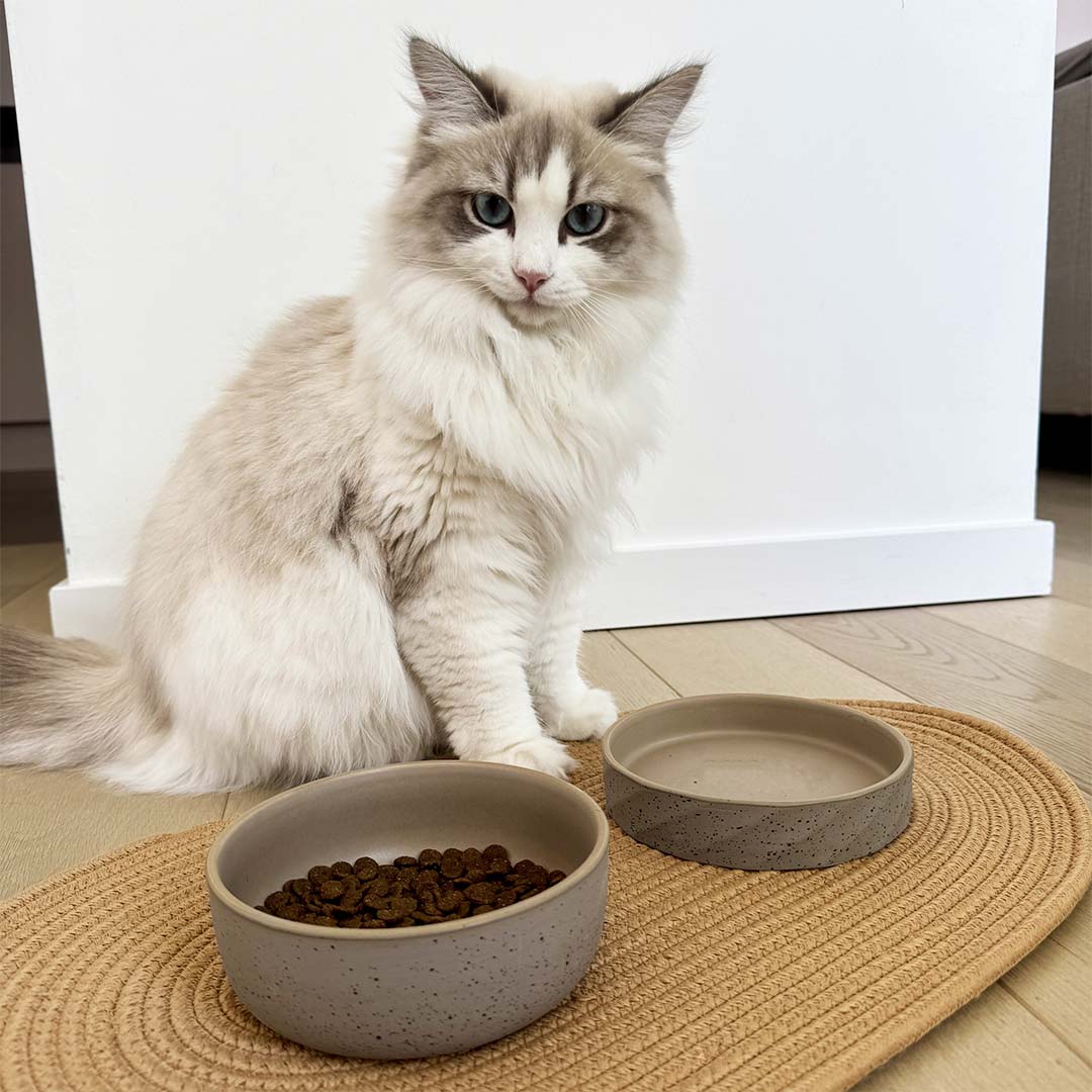 Feeding Bowl Stone smooth dune